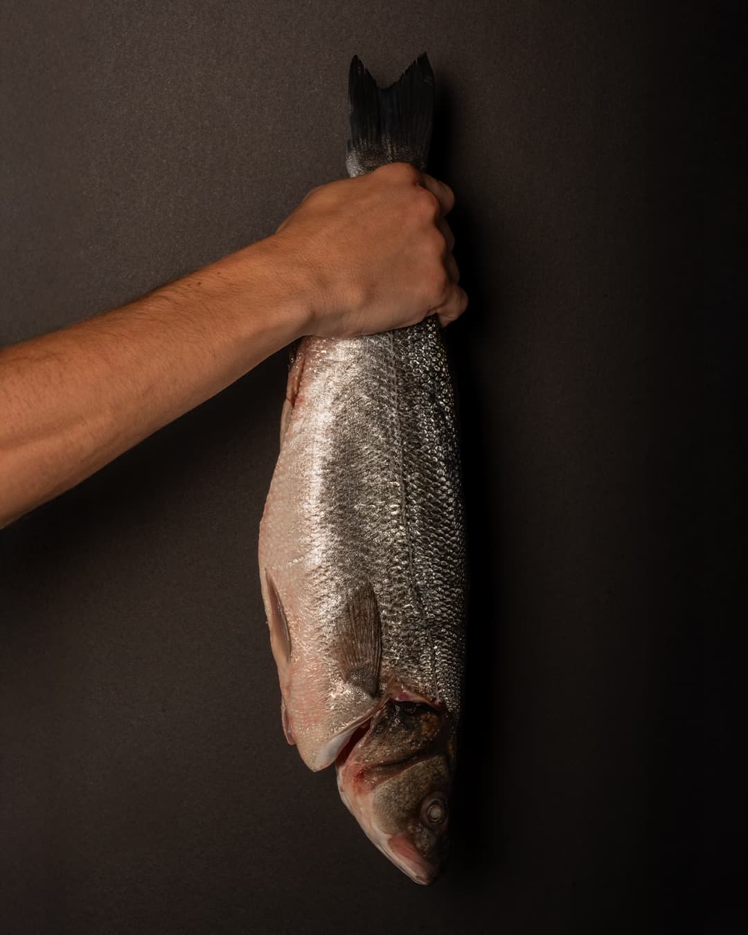 Pescado fresco - Alarz